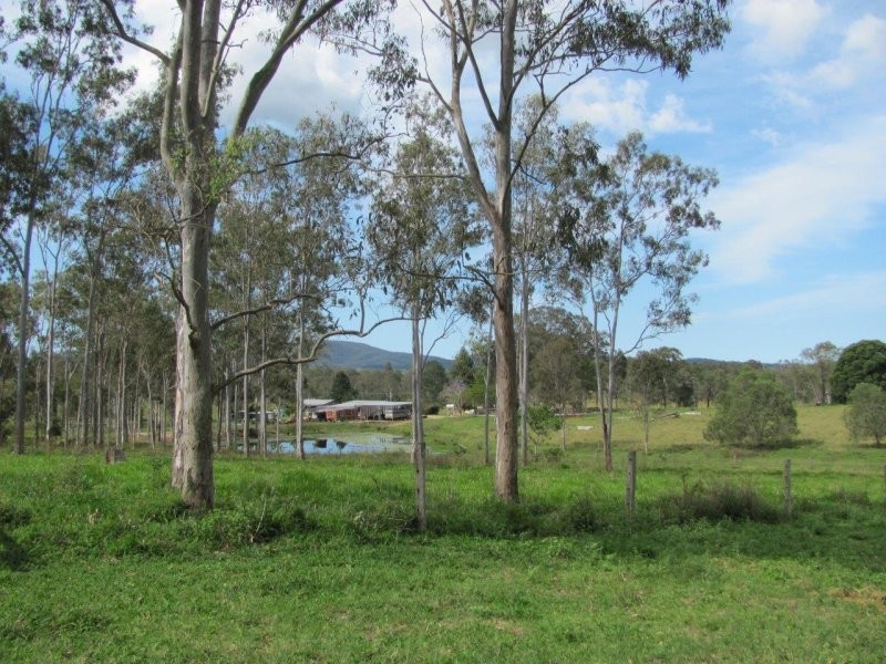 4280 Lowmead Road, Berajondo QLD 4674