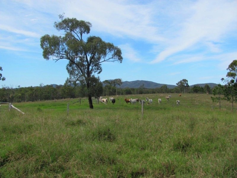 4280 Lowmead Road, Berajondo QLD 4674