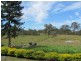4280 Lowmead Road, Berajondo QLD 4674