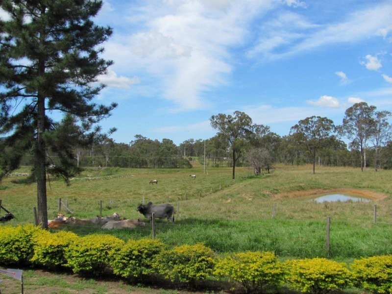 4280 Lowmead Road, Berajondo QLD 4674