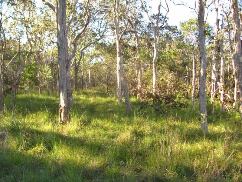 524 Pacific Drive, Deepwater QLD 4674
