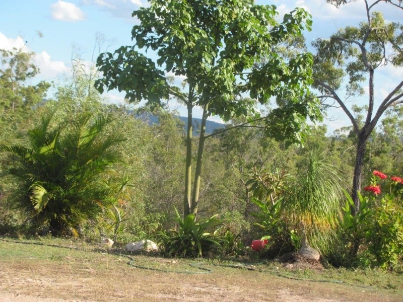 285 Winfield Road, Winfield QLD 4670