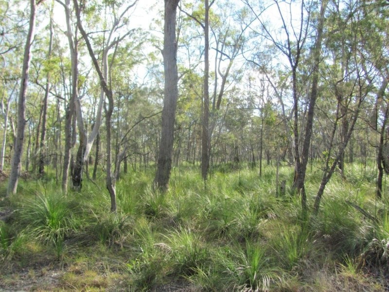 285 Winfield Road, Winfield QLD 4670