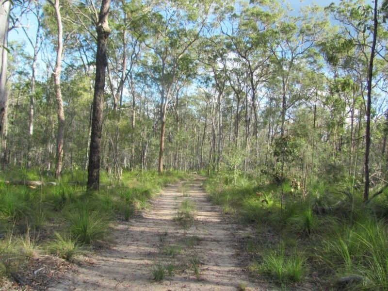 285 Winfield Road, Winfield QLD 4670