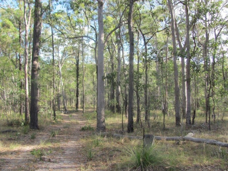 285 Winfield Road, Winfield QLD 4670
