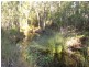 285 Winfield Road, Winfield QLD 4670
