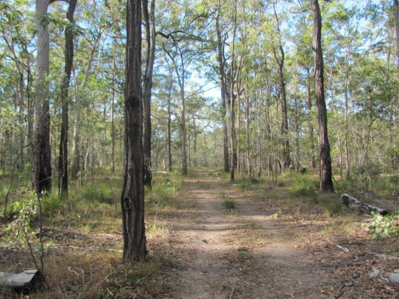 285 Winfield Road, Winfield QLD 4670