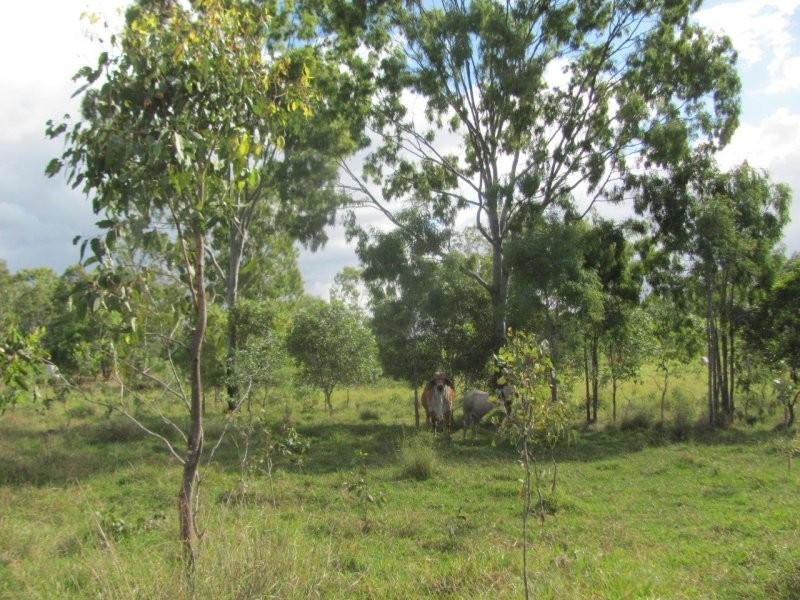 1216 Tableland Road, Mount Maria QLD 4674