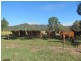 190 Tableland Road, Taunton QLD 4674