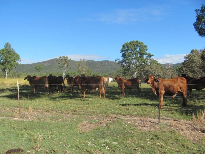 190 Tableland Road, Taunton QLD 4674
