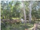 190 Tableland Road, Taunton QLD 4674