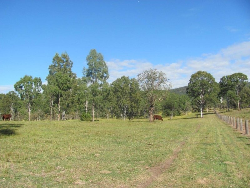 190 Tableland Road, Taunton QLD 4674