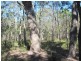 Lot 25 Deepwater Road, Deepwater QLD 4674
