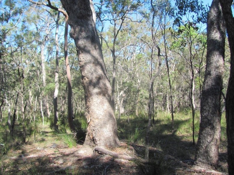 Lot 25 Deepwater Road, Deepwater QLD 4674