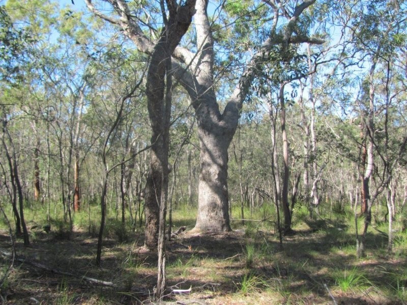 Lot 25 Deepwater Road, Deepwater QLD 4674