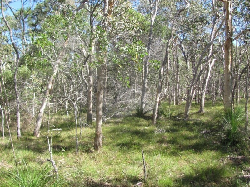Lot 25 Deepwater Road, Deepwater QLD 4674