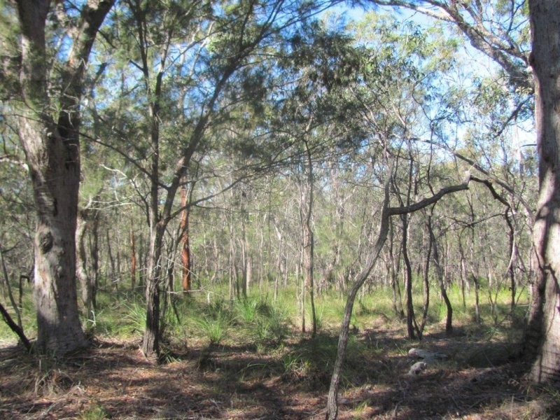 Lot 25 Deepwater Road, Deepwater QLD 4674