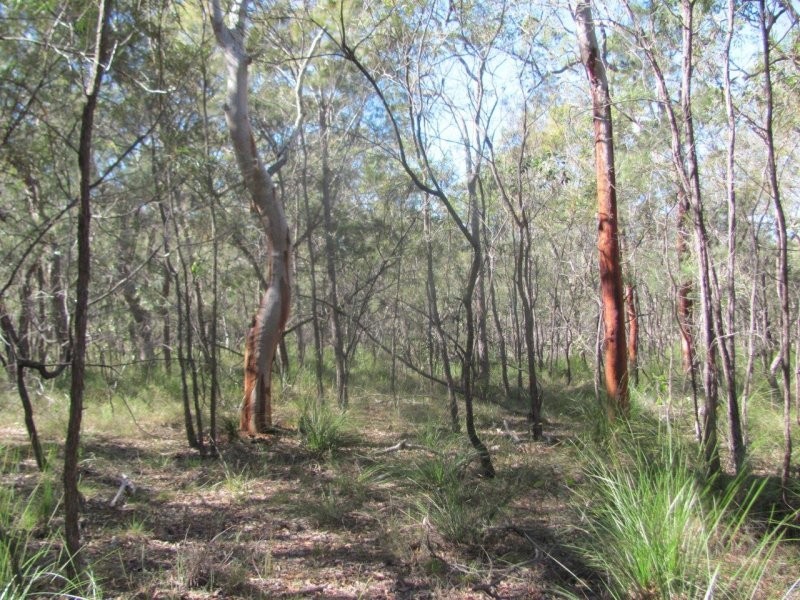 Lot 25 Deepwater Road, Deepwater QLD 4674