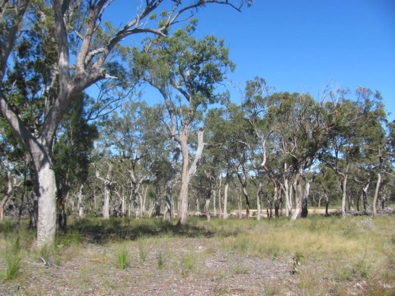 Lot 25 Deepwater Road, Deepwater QLD 4674