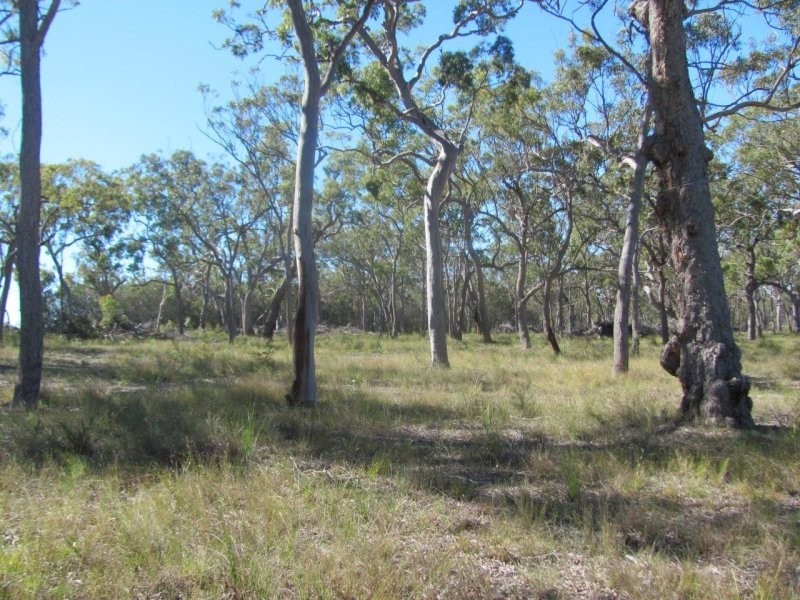 Lot 25 Deepwater Road, Deepwater QLD 4674