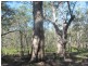 Lot 25 Deepwater Road, Deepwater QLD 4674