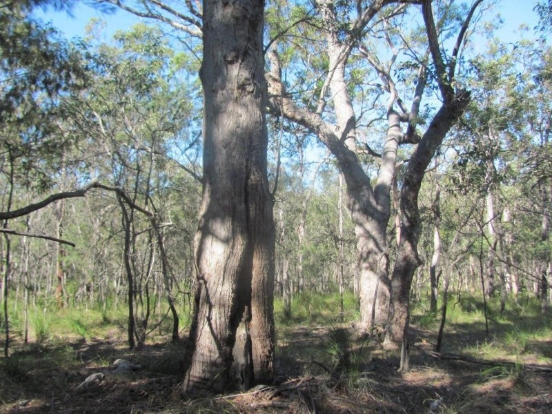Lot 25 Deepwater Road, Deepwater QLD 4674