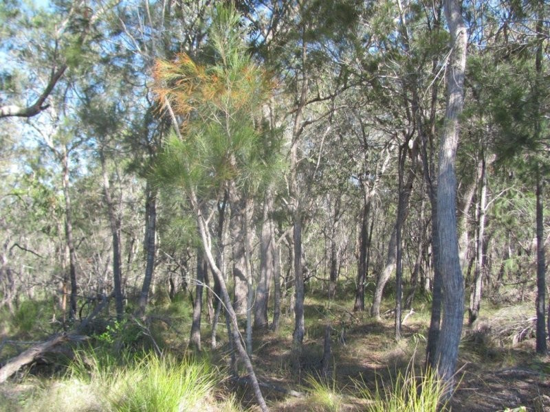 Lot 25 Deepwater Road, Deepwater QLD 4674