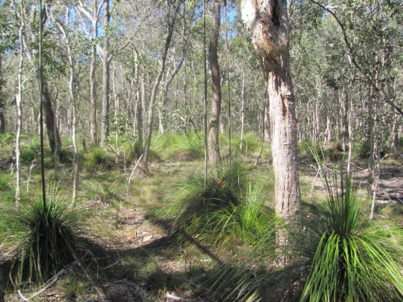 Lot 25 Deepwater Road, Deepwater QLD 4674