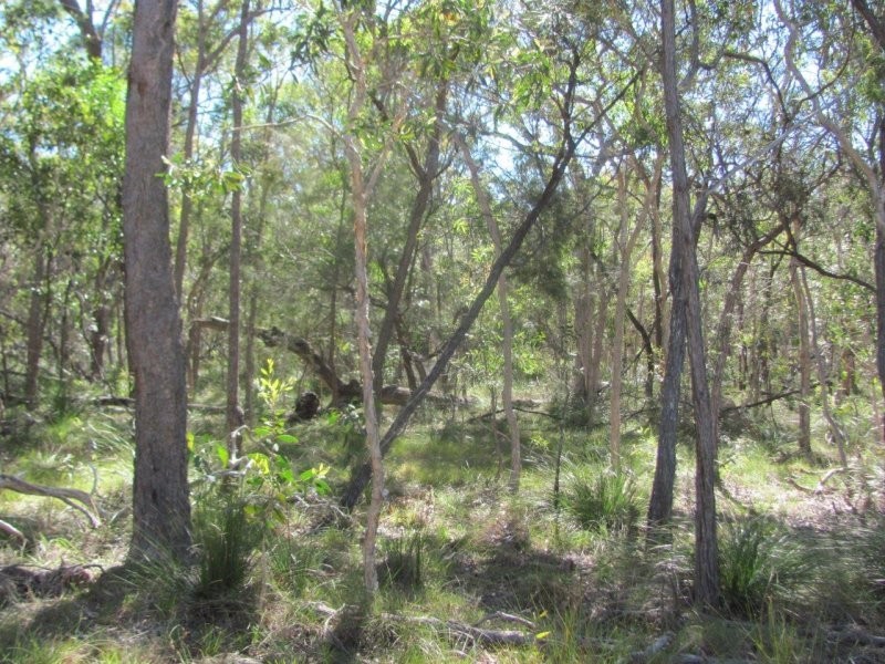 Lot 25 Deepwater Road, Deepwater QLD 4674