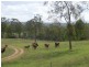 1158 John Clifford Way, Lowmead QLD 4676