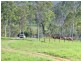 1158 John Clifford Way, Lowmead QLD 4676