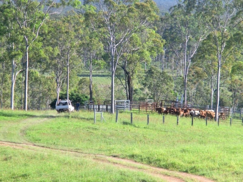 1158 John Clifford Way, Lowmead QLD 4676