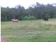 1158 John Clifford Way, Lowmead QLD 4676