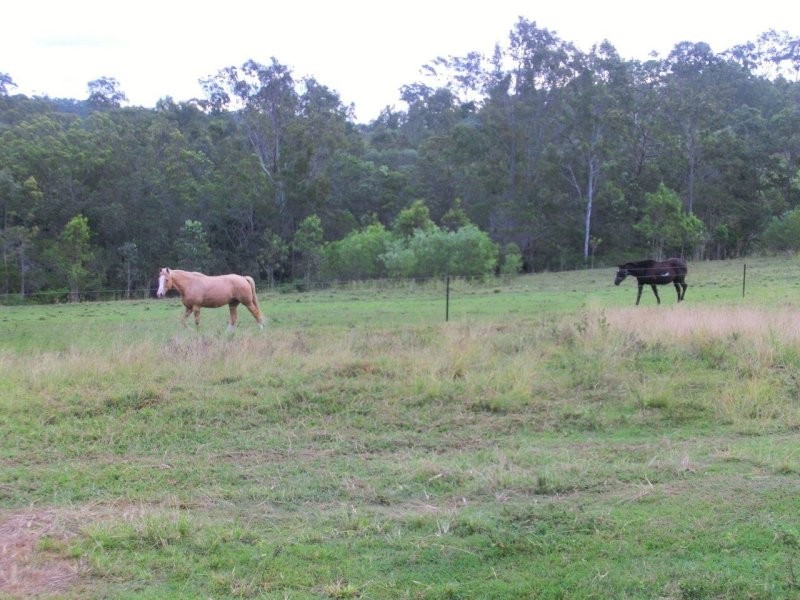 1158 John Clifford Way, Lowmead QLD 4676