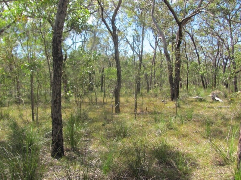 Lot 120 Capricornia Drive, Deepwater QLD 4674