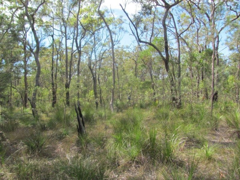 Lot 120 Capricornia Drive, Deepwater QLD 4674