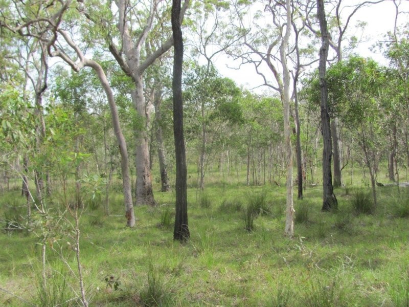 Lot 120 Capricornia Drive, Deepwater QLD 4674