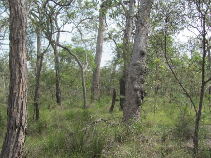 Lot 120 Capricornia Drive, Deepwater QLD 4674