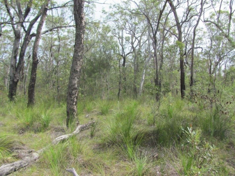Lot 120 Capricornia Drive, Deepwater QLD 4674
