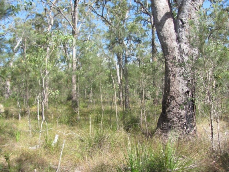 Lot 120 Capricornia Drive, Deepwater QLD 4674