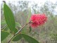 Lot 120 Capricornia Drive, Deepwater QLD 4674