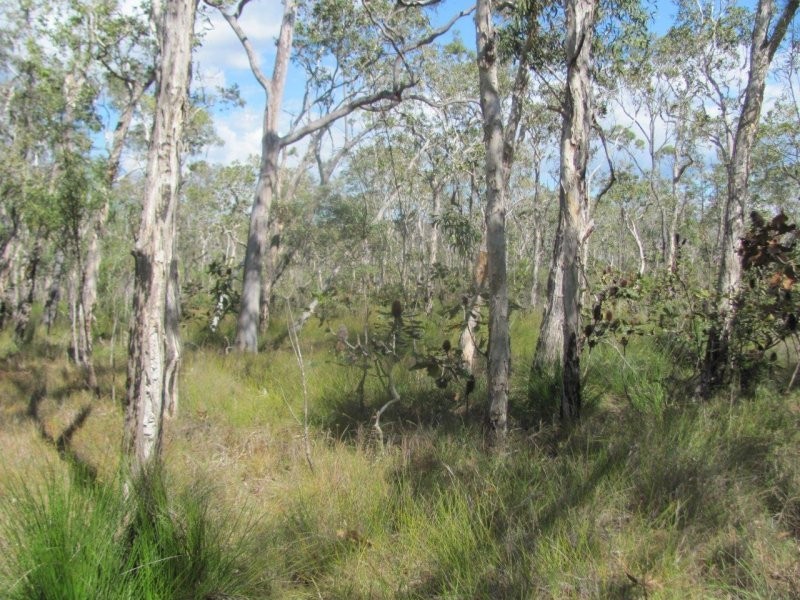Lot 120 Capricornia Drive, Deepwater QLD 4674