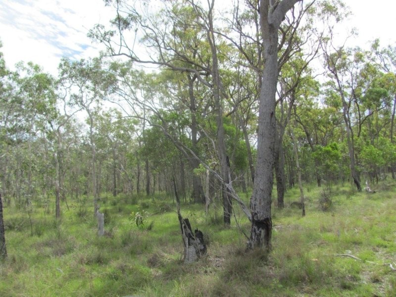 Lot 120 Capricornia Drive, Deepwater QLD 4674