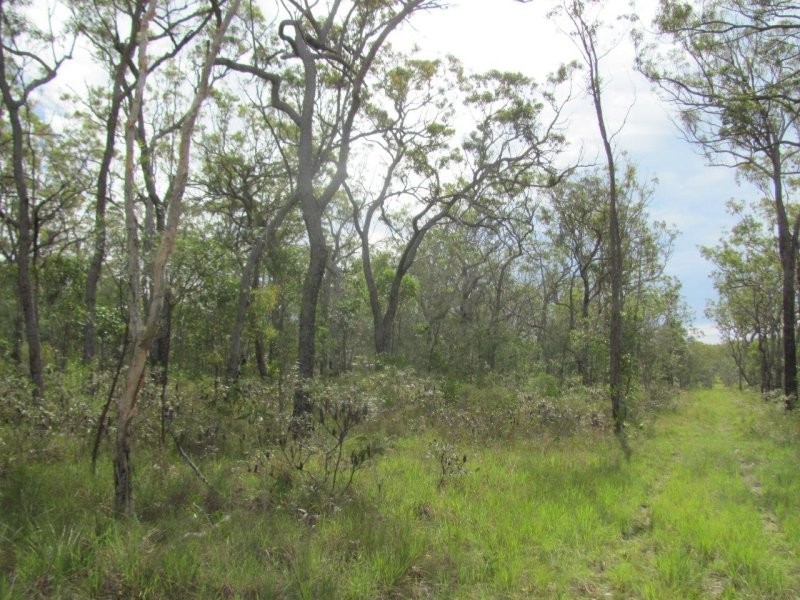 Lot 120 Capricornia Drive, Deepwater QLD 4674