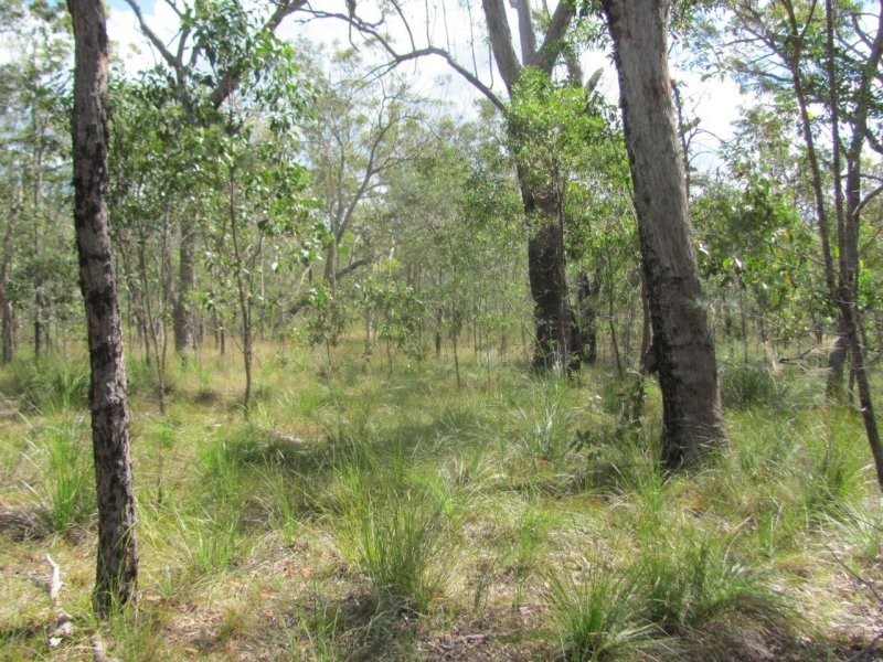Lot 120 Capricornia Drive, Deepwater QLD 4674