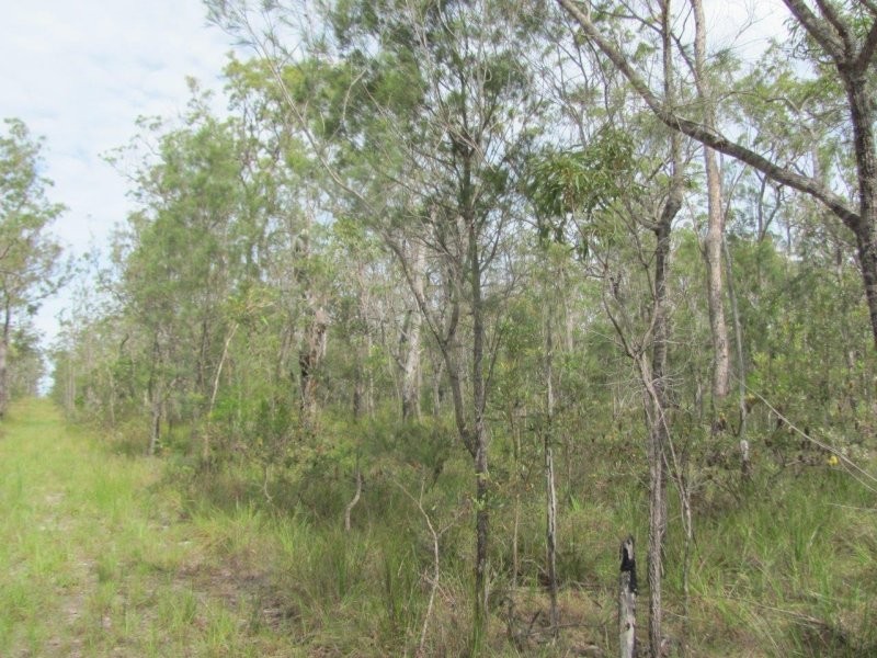 Lot 120 Capricornia Drive, Deepwater QLD 4674