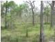 Lot 120 Capricornia Drive, Deepwater QLD 4674