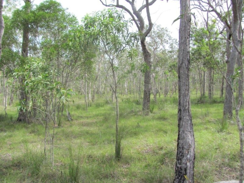 Lot 120 Capricornia Drive, Deepwater QLD 4674