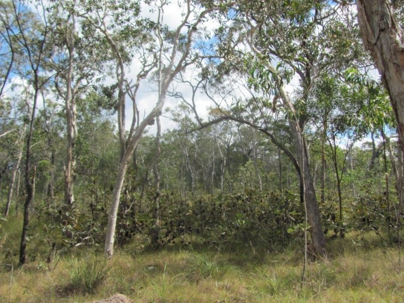 Lot 120 Capricornia Drive, Deepwater QLD 4674