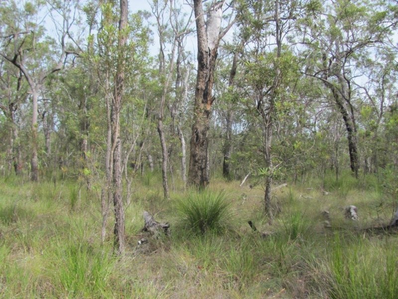 Lot 120 Capricornia Drive, Deepwater QLD 4674